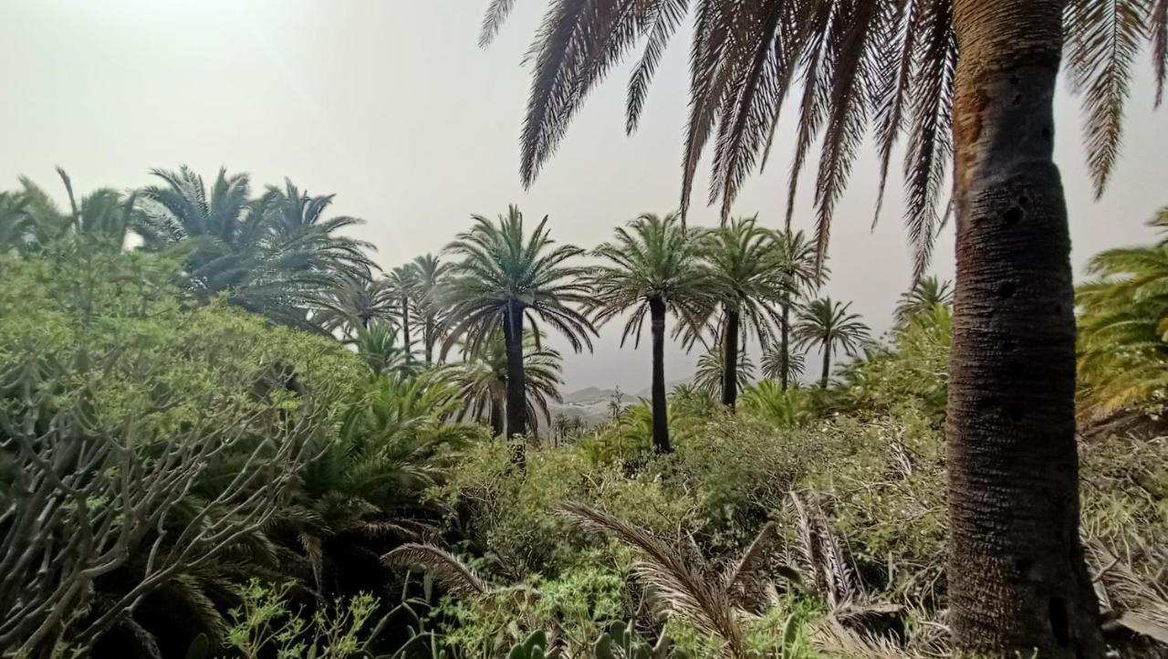 Alquilaencanarias Casa La Playa La Gomera Alojera المظهر الخارجي الصورة