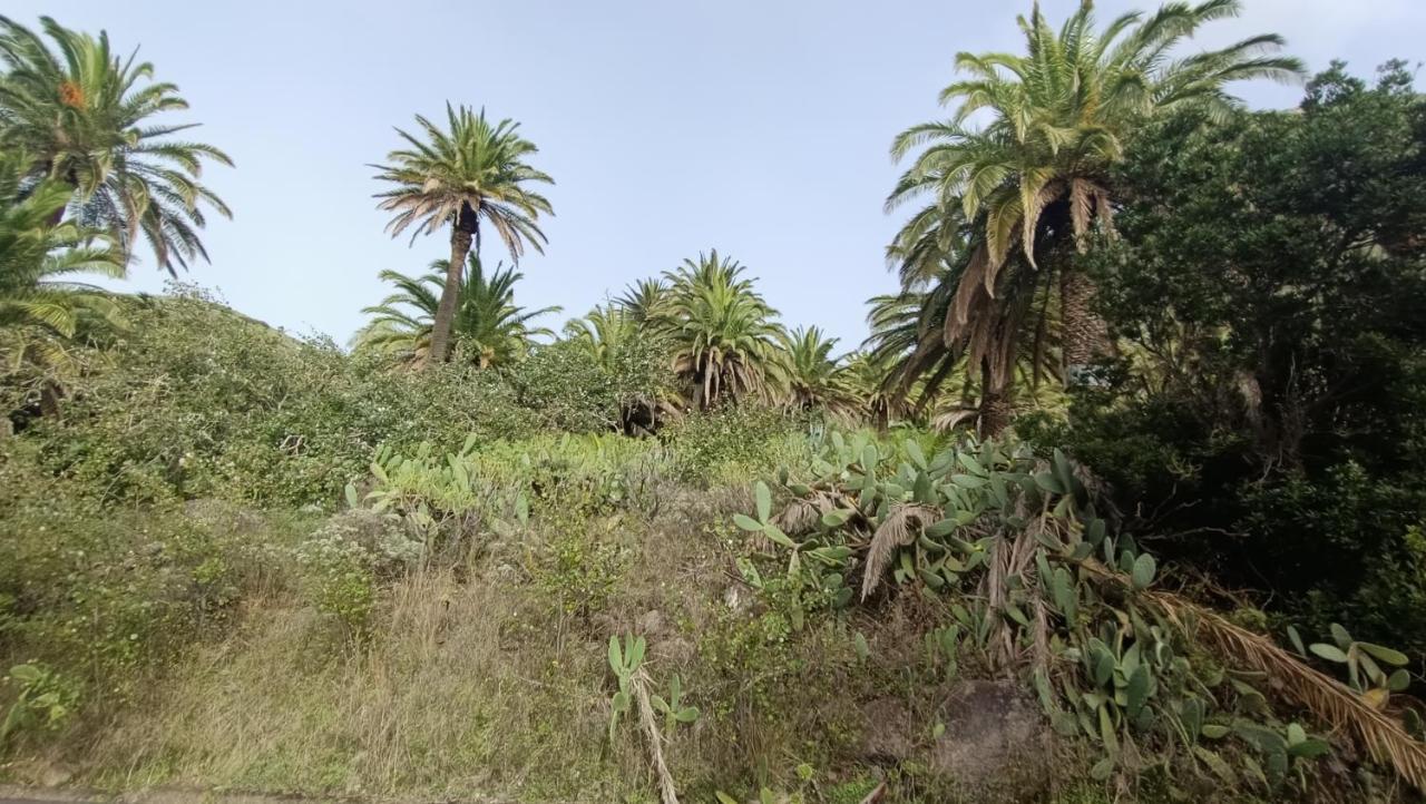 Alquilaencanarias Casa La Playa La Gomera Alojera المظهر الخارجي الصورة